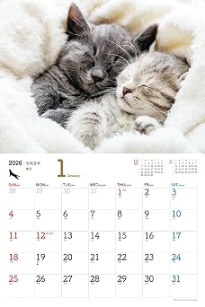 Jtbのカレンダー にゃんこ 2026(壁掛け/月めくり/猫) カレンダー2026