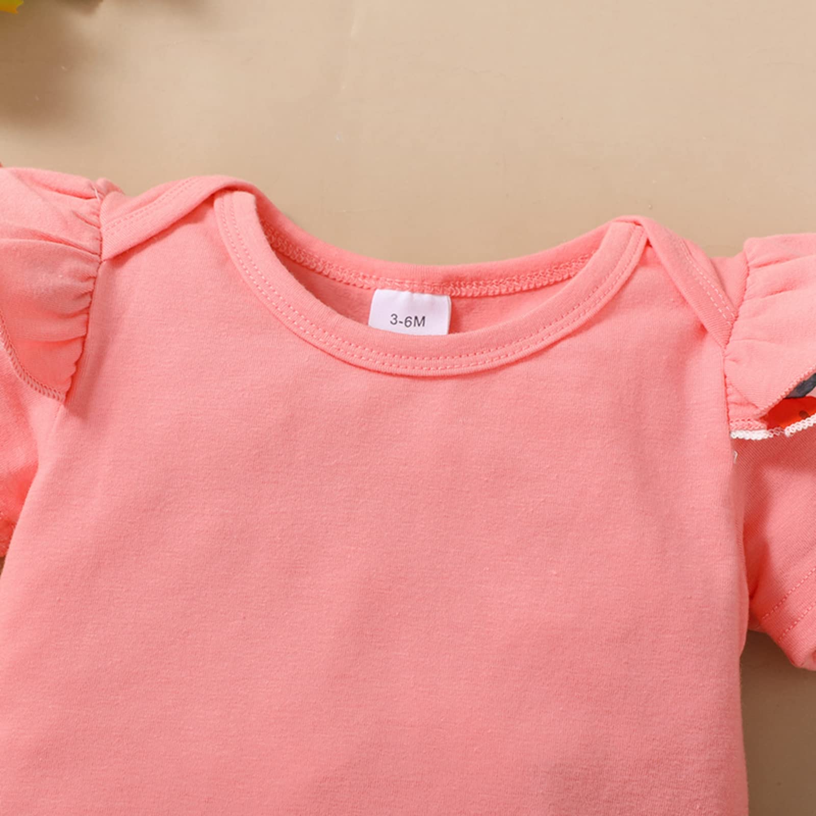 Newborn Baby Girl Clothes Ruffle Short Sleeve Ribbed Cartoon Print Romper Suspender Skirt Overall Dress Set (B-Pink,3-6 Months)