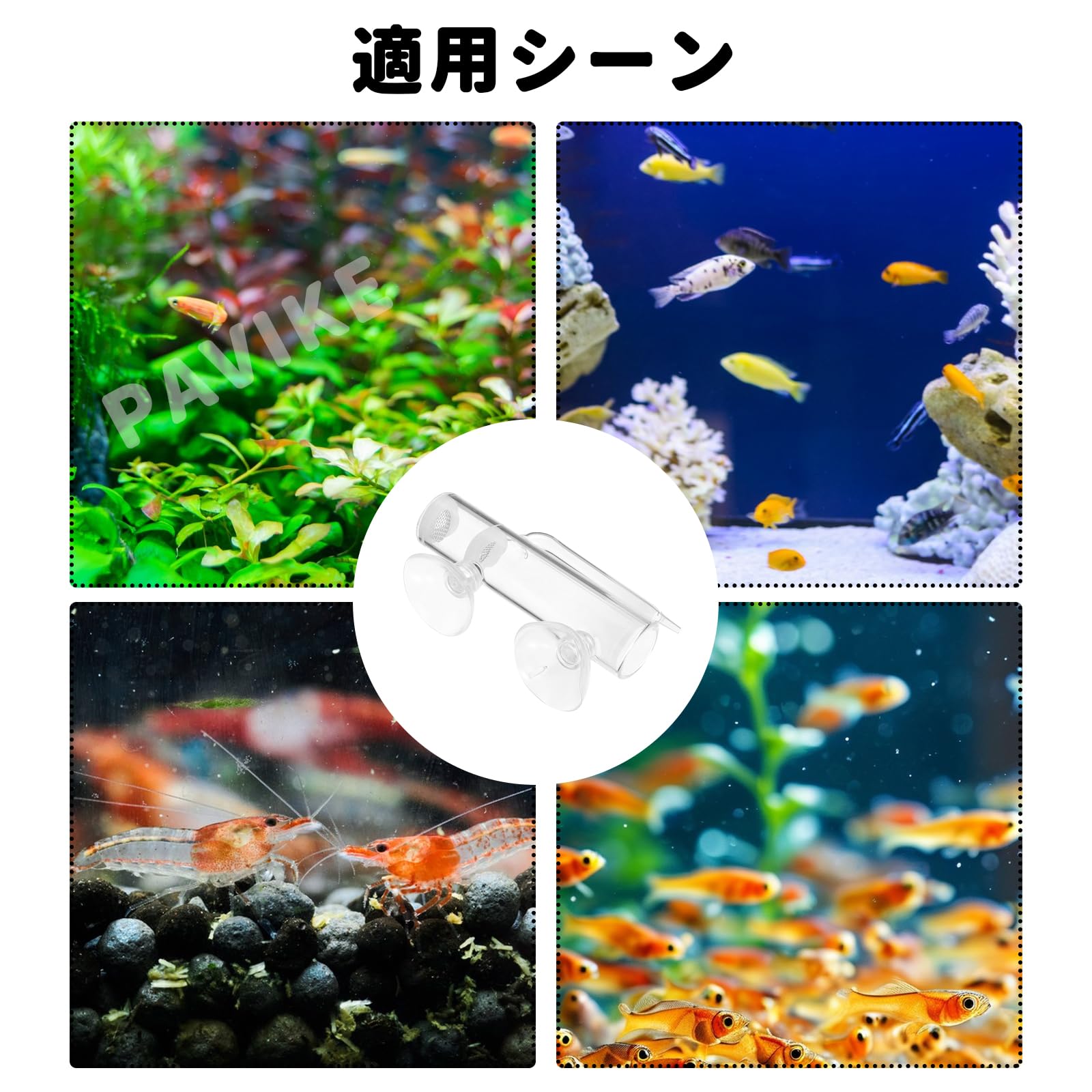 イン卵様 Anti-ZO1 tight junction protein antibody [BLR092G] (ab276131