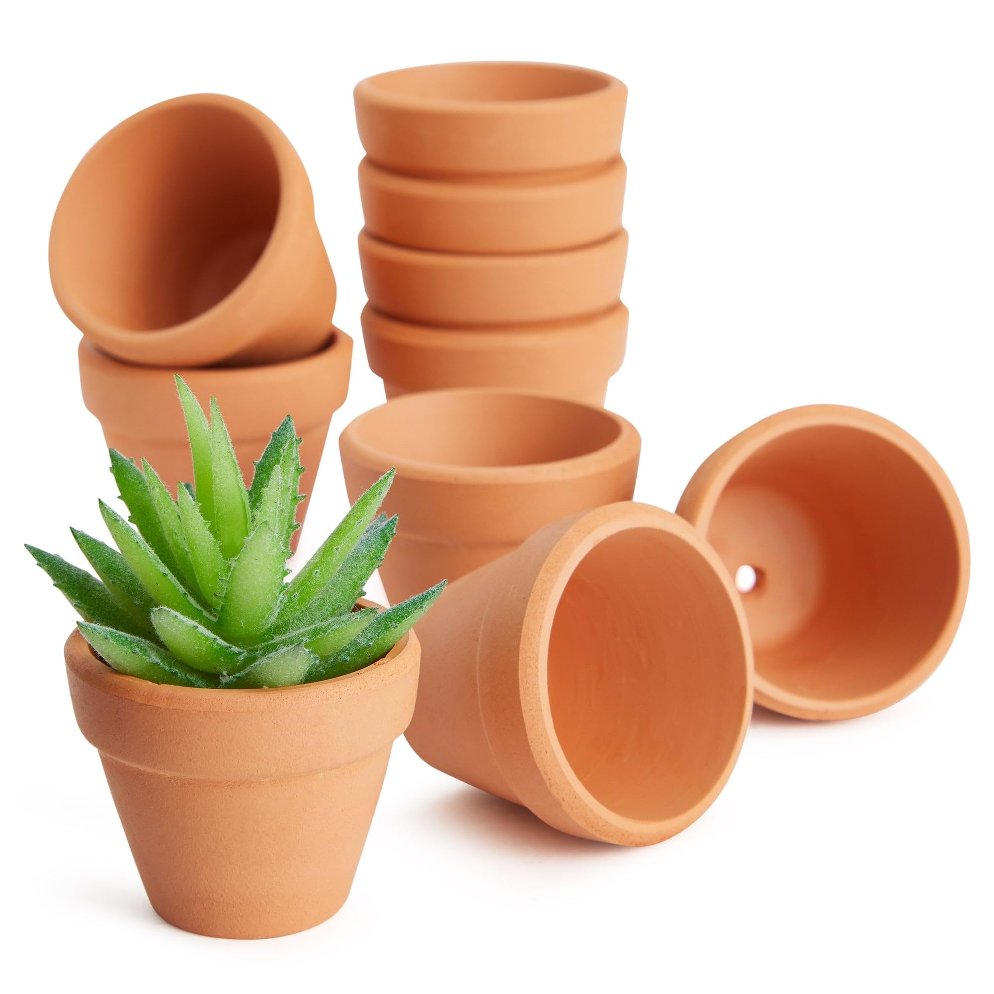Terra Cotta Plant Pots, Small Clay Flower Pots, Set of 2, Natural Earthenware-image-38