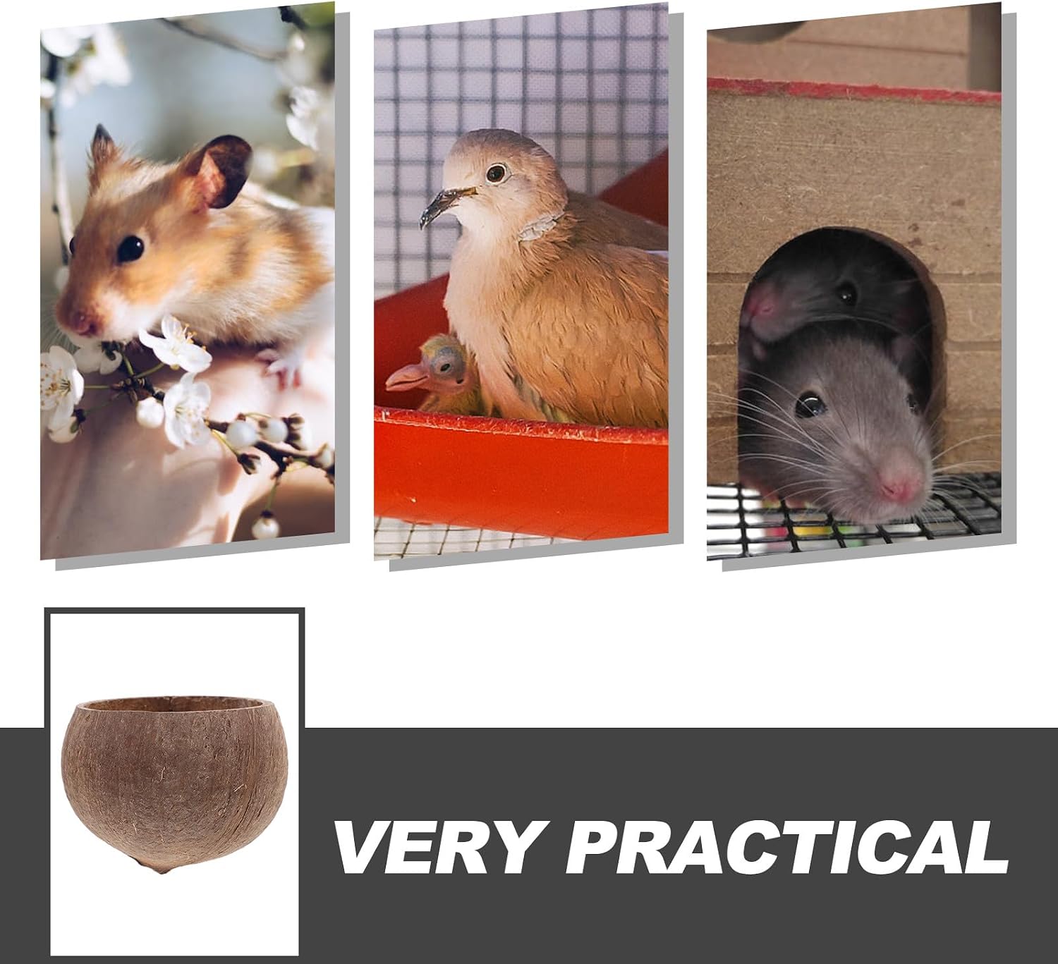 TEHAUX 2pcs Small Animal Feeding Bowls Coconut Shell Nest Pet Food Storage Bowl for Hamster Guinea Pig Squirrel Fixing Clips for Stable Feeding