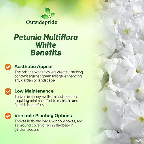 Miniatura 3 de Outsidepride White Multiflora - Semillas de petunia  250 unidades. Semillas anuales, compactas, de flores para plantar, flores vibrantes, ideales