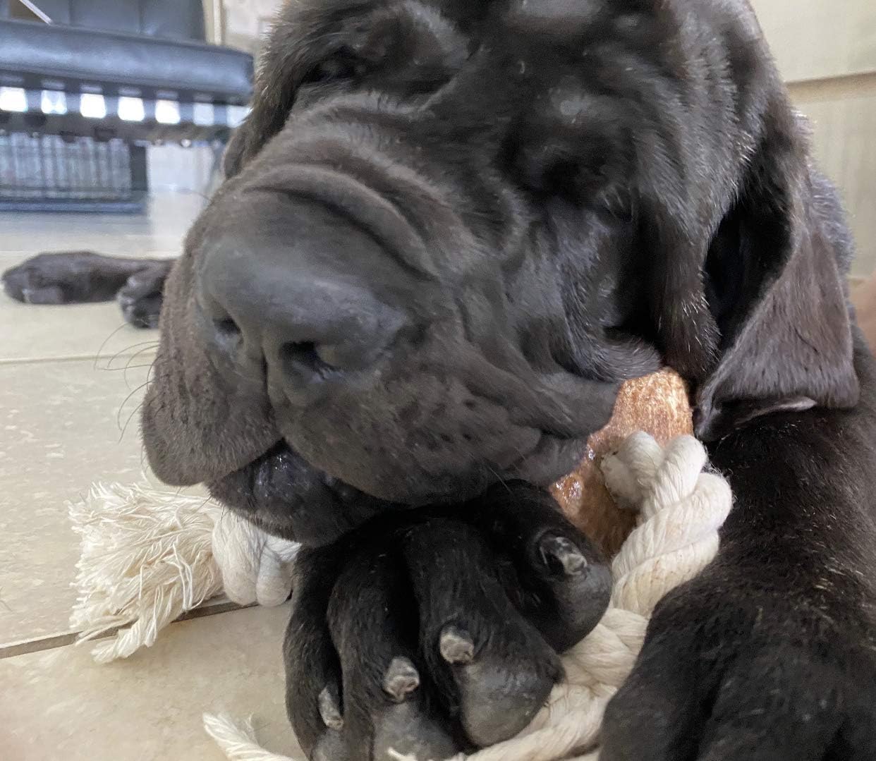 Perfect Pet Chews Split Elk Antler Rope Toy - Grade A, All Natural, Organic, and Long Lasting Treats - Made from Naturally Shed Antlers in The USA (F. X-Large - Dog Weight 70-100 Lbs)