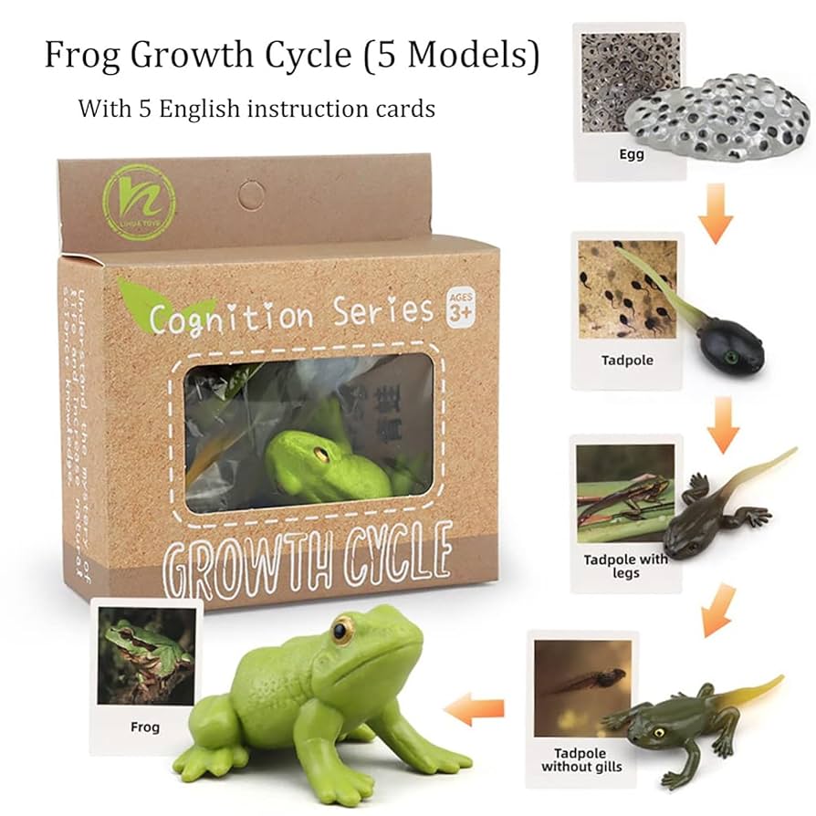 FROG PRODUCTS toy’s GRIP＿ケース付き FROG PRODUCTS toy's GRIP＿ケース付き 【公式通販】