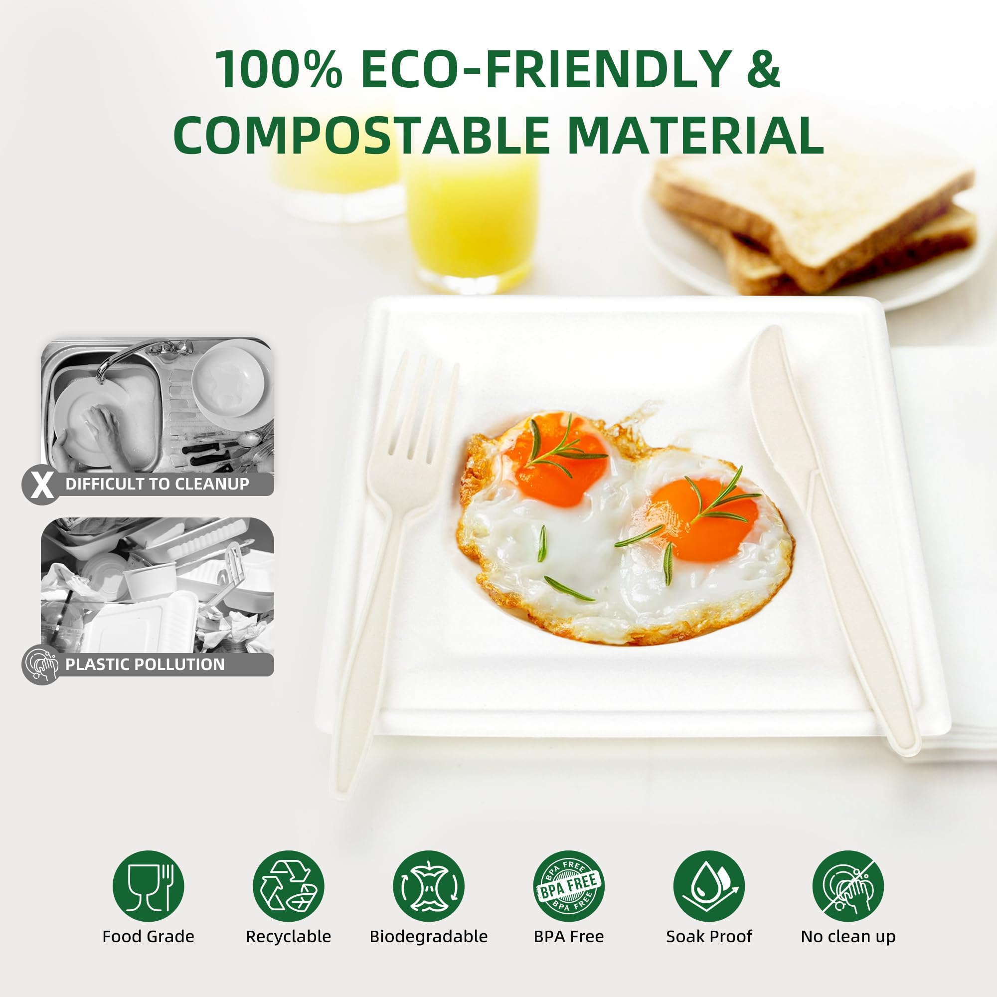 Disposable Plate