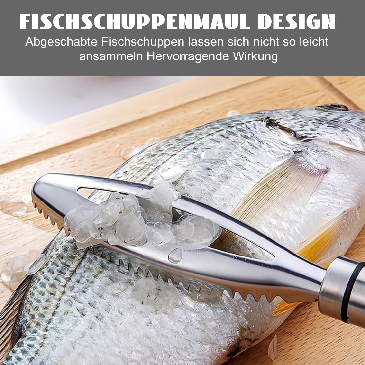 Écailleur à Poisson Westmark Scalex - Lame Acier Inoxydable - Avec Bac Collecteur