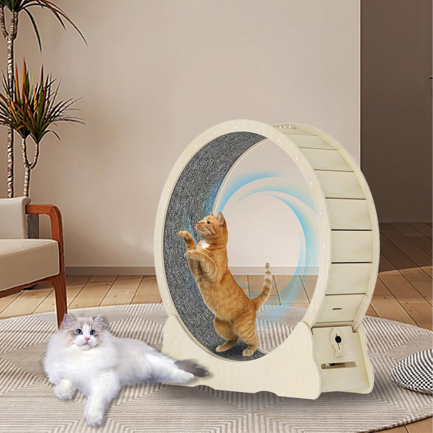 39.3" Large Cat Wheel Exerciser for Indoor Cats, Cat Exercise Running Wheel Treadmill with Lock & Minimized Gap Design, Ultra Low Noise and Detachable Carpet (Black, 39.3 inch)