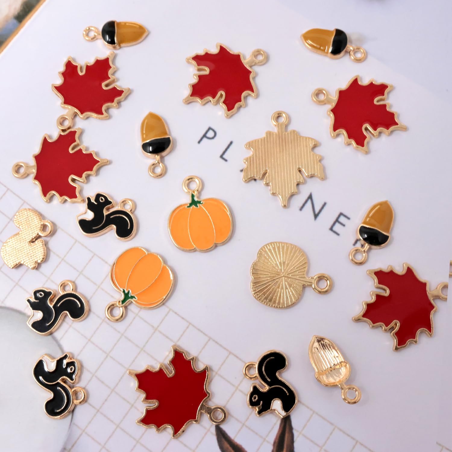 Honbay 40PCS Enamel Alloy Fall Charms Pendant Autumn Maple Leaf Pumpkin Squirrel Acorn Pendant Thanksgiving Halloween Alloy Bead Charms for Earrings Bracelets Necklaces Jewelry Crafts Making - Image 3
