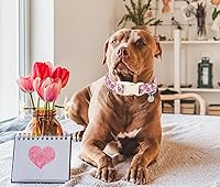 Vista 160 de DOGWONG Collar de perro Airtag de algodón y cáñamo, collar resistente para perros con soporte para Airtag, collares verdes para perros pequeños