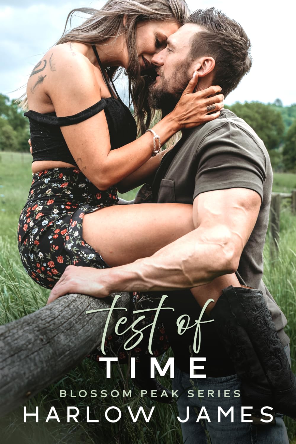 Test of Time: A Single Dad, New Neighbor Romance: Blossom Peak Book 3 (Blossom Peak Series)