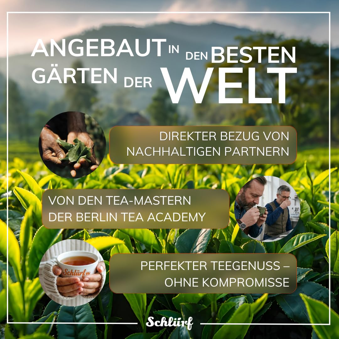 Schlürf „Greete" – Aromatischer BIO Grüner Tee aus China – Reiner Nebeltee zart-süßlich – 27 PLA Pyramidenteebeutel – PLA-Teebeutel auf Basis pflanzlicher Rohstoffe – Einzeln kuvertiert