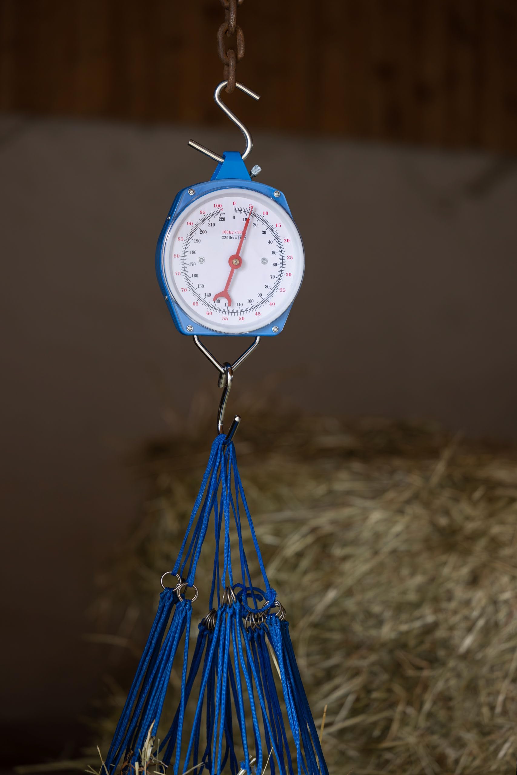 Peson 50 kg, bleu - calcul rapide manuel poids - 291412