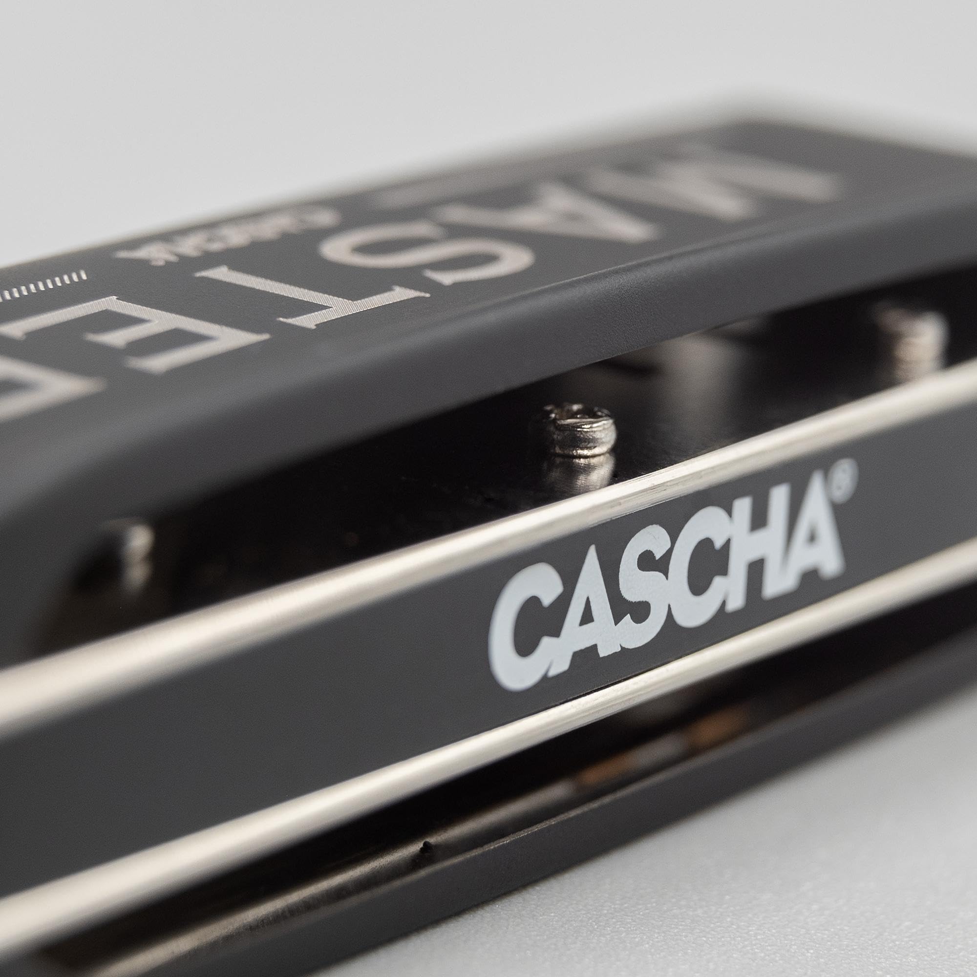Cascha Master Edition Blues Harmonica, Armonica di Alta Qualità in C Maggiore con Custodia Morbida e Panno per la Pulizia, Nero