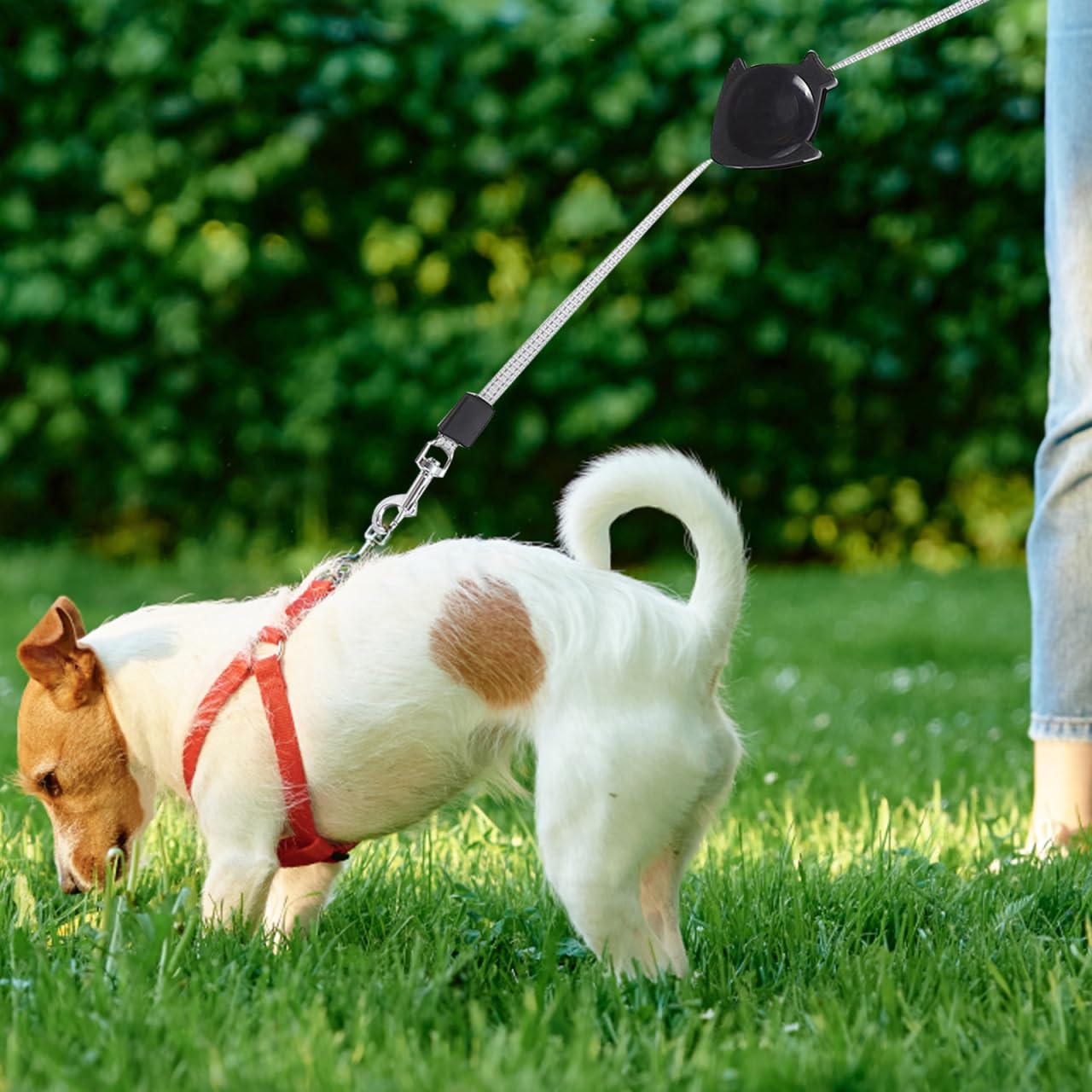 Alipis Automatische Einziehbare Hundeleine Rollleine Für Hunde Welpen Und Katzen Teleskop-Zugseil Mit Ergonomischem Griff Einhandbedienung Größe L 1 X Teleskop-Zugseil