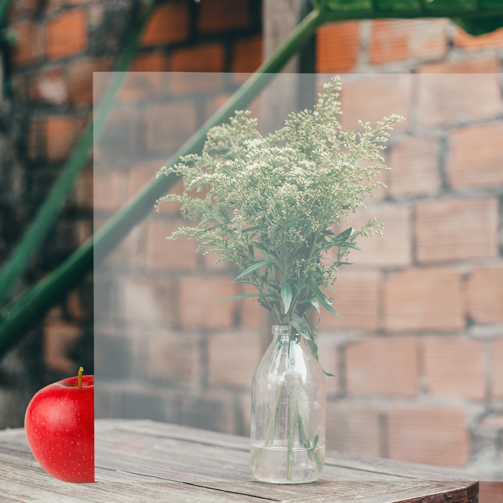 Scheda Lente Lenticolare Trasparente per S Pet | Accessorio per Prestigiatori, Effetto Invisibilità, Facile da Montare, Portatile, Resiste alla Deformazione