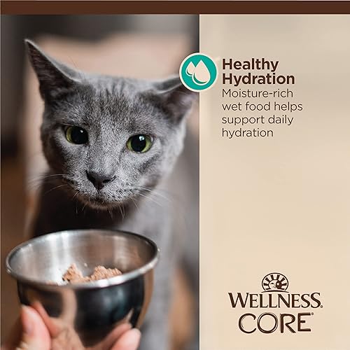 Miniatura 6 de Wellness CORE Tiny Tasters - Alimento húmedo para gatos adultos, natural, rico en proteínas, sin granos, bolsa de 1.75 onzas, paquete de 12, atún y