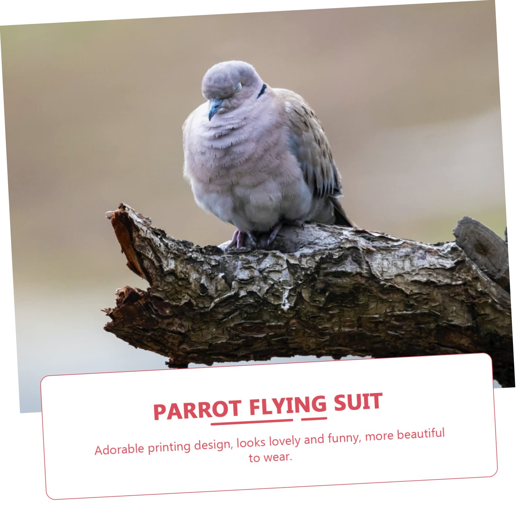 BESPORTBLE 8pièces Couches Respirantes pour Oiseaux Culottes Réutilisables pour Perroquets Vêtements Confortables Et Légers Accessoires pour Oiseaux Petits Animaux