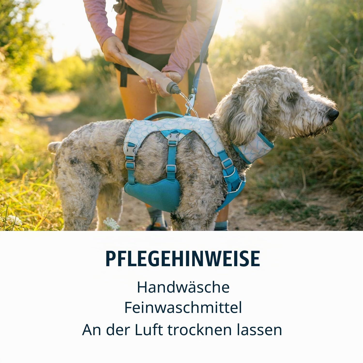 RUFFWEAR Swamp Cooler Hundegeschirr und Griff, leichte Laufausrüstung hält Haustiere bei heißem Wetter kühl, Verstellbar, stark und kühlend, 2 Leinen-Portale, Biolumin Blue (Small, 56-69 cm)