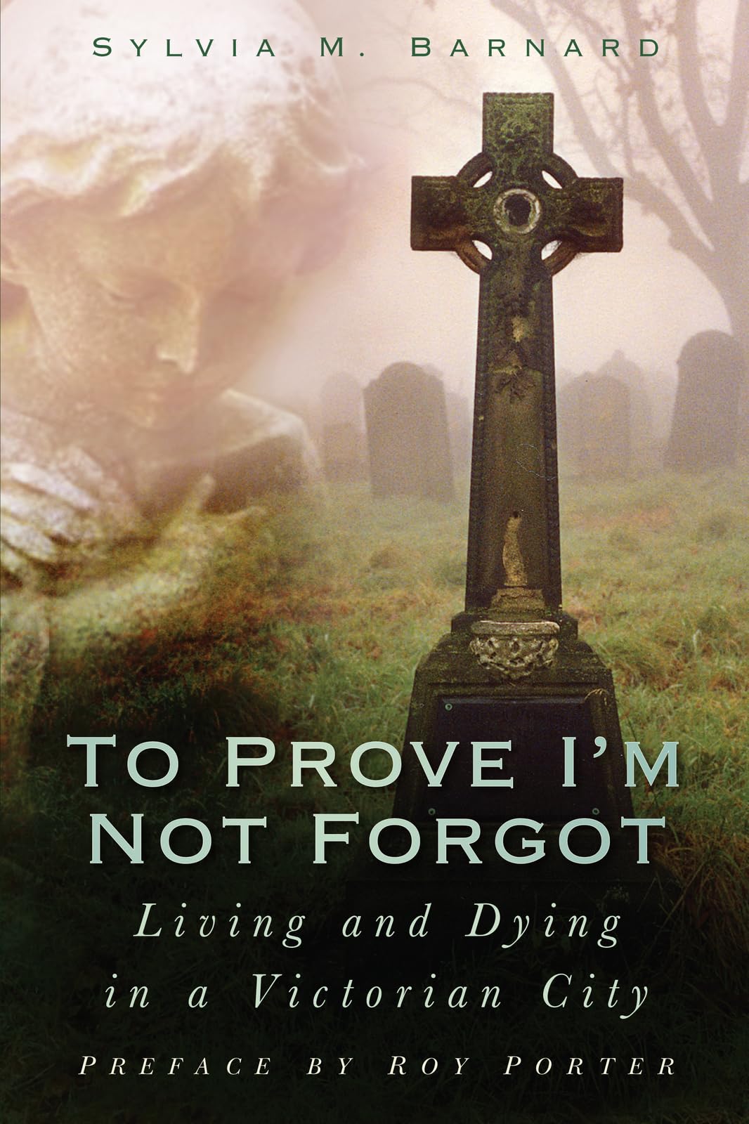 To Prove I'm Not Forgot,Sylvia M Barnard