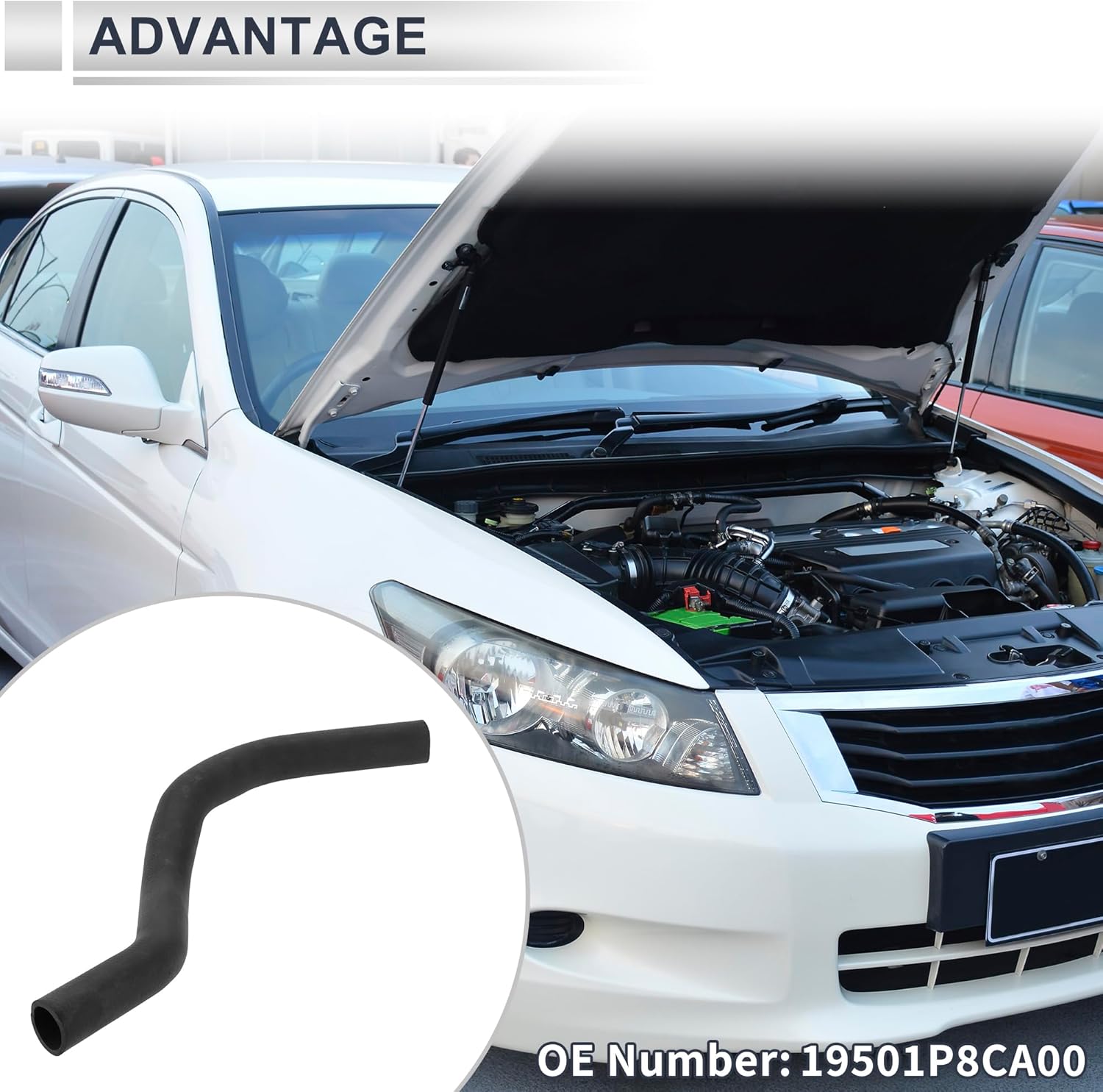 Upper Radiator Coolant Hose for Honda Accord 1998-2002 for Acura TL 1999-2003 Good Sealing Water Hose Pipe No.19501P8CA00 Rubber 1 Pc