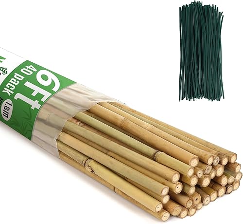 Miniatura 10 de SWANGSA Paquete de 40 estacas de bambú de 4 pies para plantas, palos de bambú de apoyo para plantas de jardín con 200 lazos giratorios para tomates,