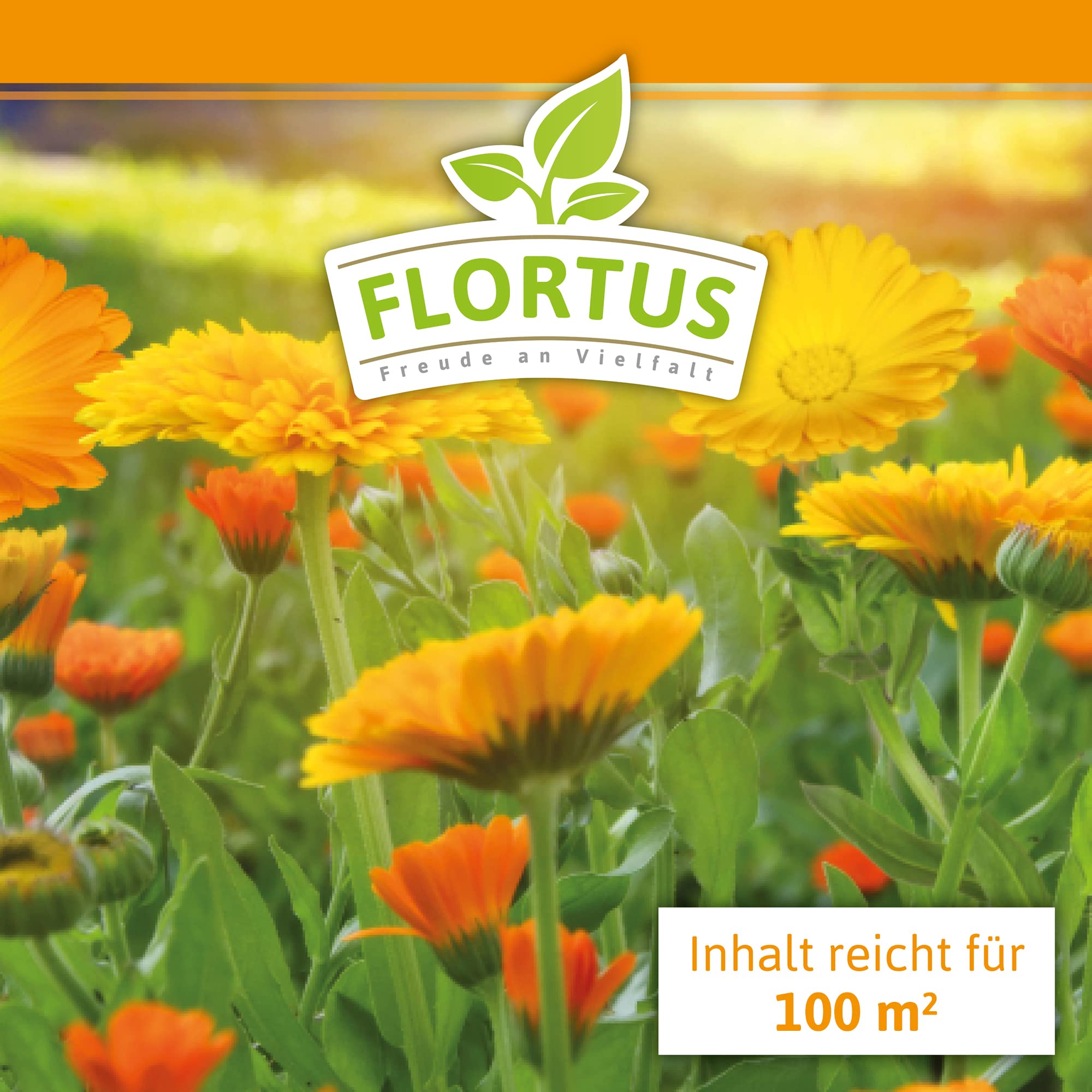 FLORTUS – Ringelblumen Samen Mischung 1kg Gelb-Orange zum Aussähen – Blumensamen für Bienenweide – Calendula officinalis Saatgut für bienenfreundliche Ringelblumen Pflanzen mit essbaren Blüten
