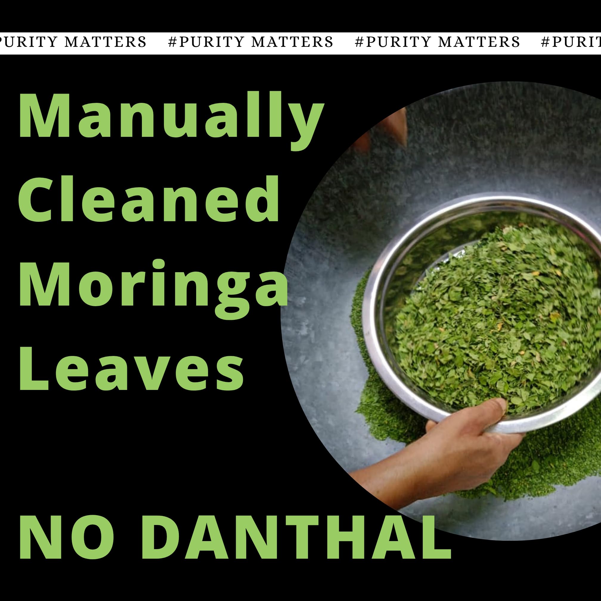 Indiana Organic Moringa Whole Leaves Dry Leaf, Dried Drumstick Tree Leaves, Natural Super-Food – For Making Herbal Tea, Smoothies, Soups - 35 Gram - 35 Gram (Pack of 3 Jar) — Amazon image 3