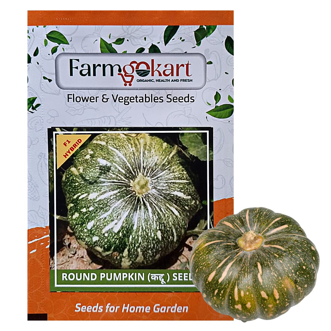 Farmgokart |PUMPKIN (Round Shaped) HYBRID F1 HYBRID SEED |10 Seeds per Packet |Best Suitable For Home Gardening | (B09QK9KCJF) Amazon Price History, Amazon Price Tracker