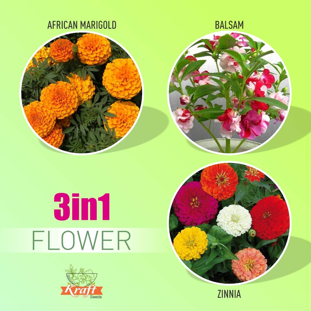 See full amazon price history chart for Kraft Seeds by 10CLUB Fresh Flower Seeds for Home Gardening (3 Packets, Mix 1gm each) Natural Flowering Seeds |Summer Flowering Seeds for Terrace and Balcony | Outdoor and Indoor Flower Plants Seeds Kraft Seeds by 10CLUB Fresh Flower Seeds for Home Gardening (3 Packets, Mix 1gm each) Natural Flowering Seeds |Summer Flowering Seeds for Terrace and Balcony | Outdoor and Indoor Flower Plants Seeds (B0824YXBYS) Amazon Price History, Amazon Price Tracker