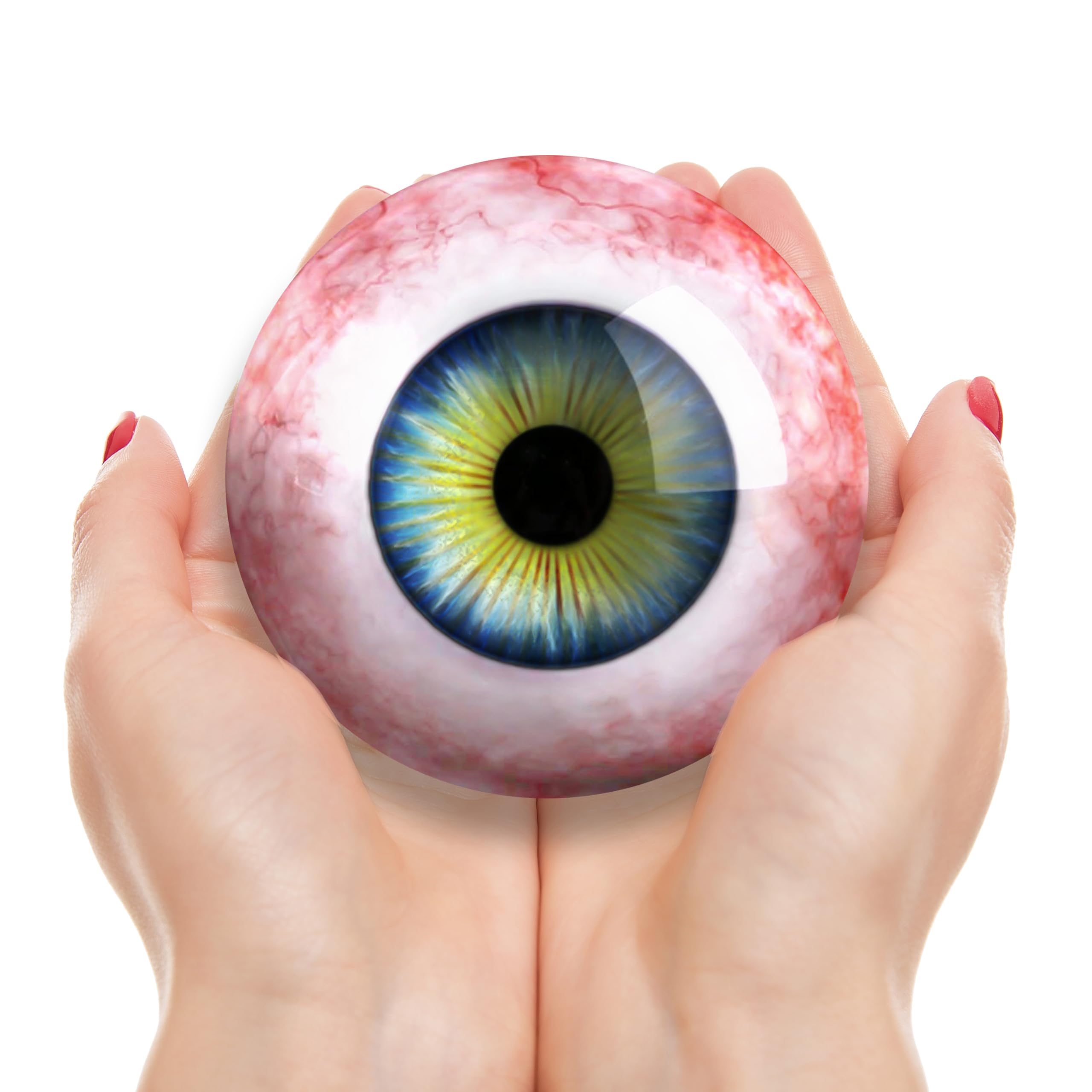 HUGE Blue Green Glass Eye - Human Doll Taxidermy Eyeball 80mm 1pc - 22-80