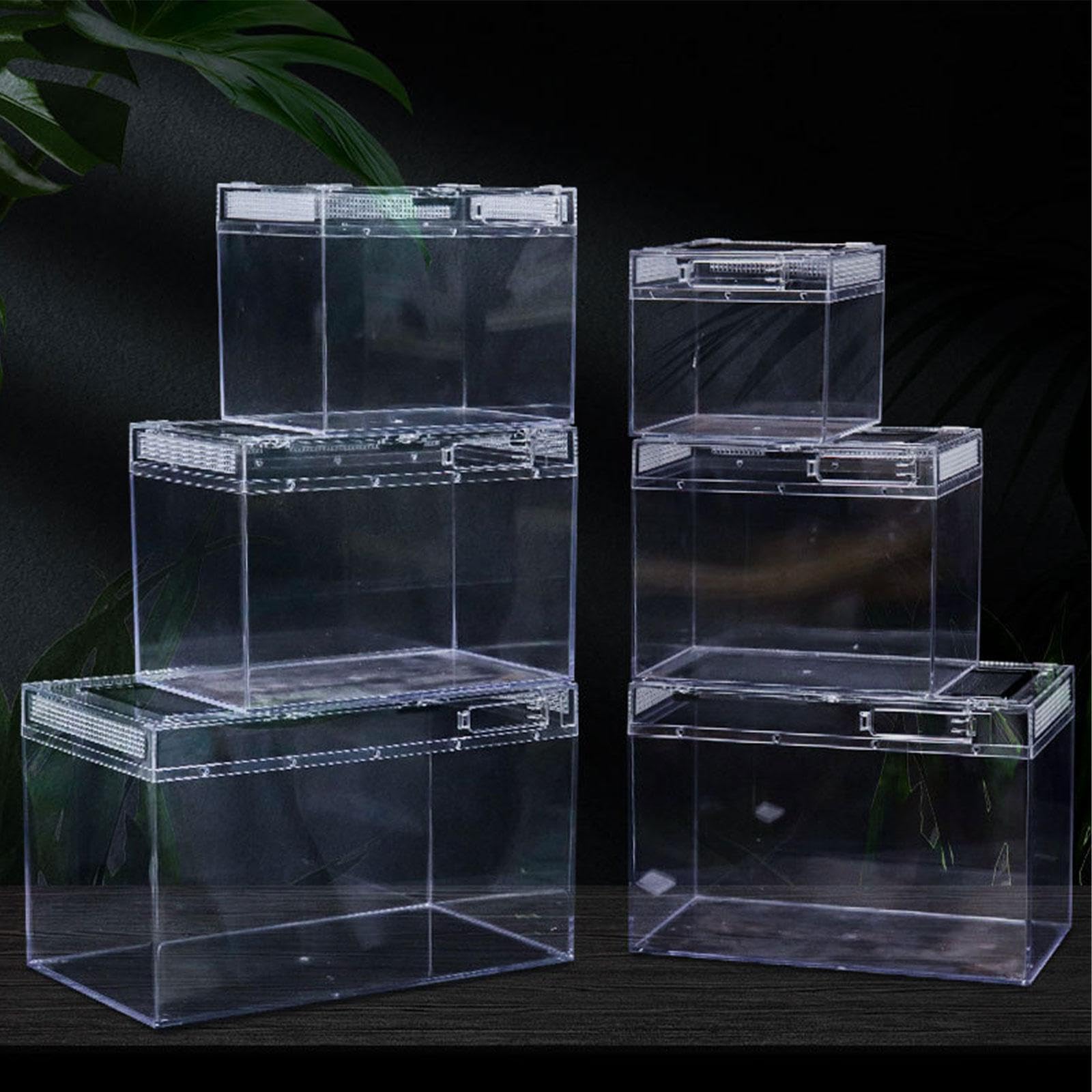 Hábitat Terrario para Reptiles con Completa. Tanque de Cría Atractivo para Ranas, Tortugas Ermitañas Y Reptiles, 20cmx20cmx15cm, Individual