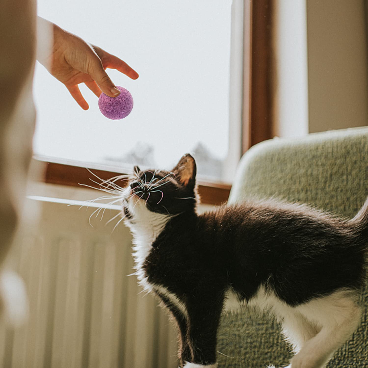 6 Palline Giocattolo Per Gatti Con Sonaglio - Palle Di Peluche 5cm Colorate | Gioco Interattivo Per Gattini - Foto 3