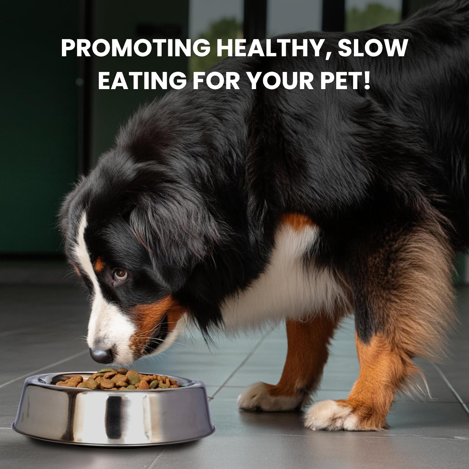 Iconic Pet Comedero para Perros/Gatos de Acero Inoxidable Antideslizante Silencioso Resistente a Hormigas con Diseño Único y Base de Goma