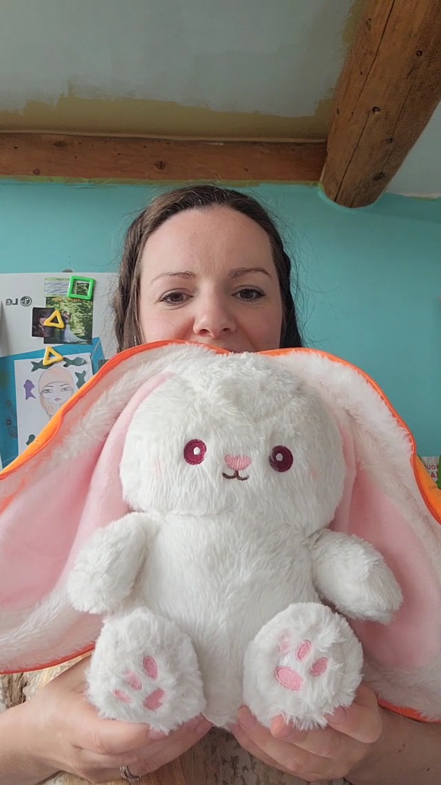 Watch The Carrot Bunny Plush Stuffy Review on Amazon Live