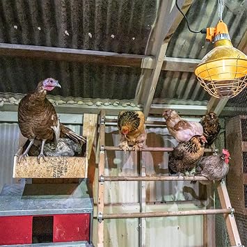 Premier 1 High-Output Carbon Fiber Heater 600W, Built-in Safety Switch | For lambing pens, chicken coops & horse stables. Carbon fiber bulbs 98% efficient. 12 shade, 7.5ft cord, 110V outlet.