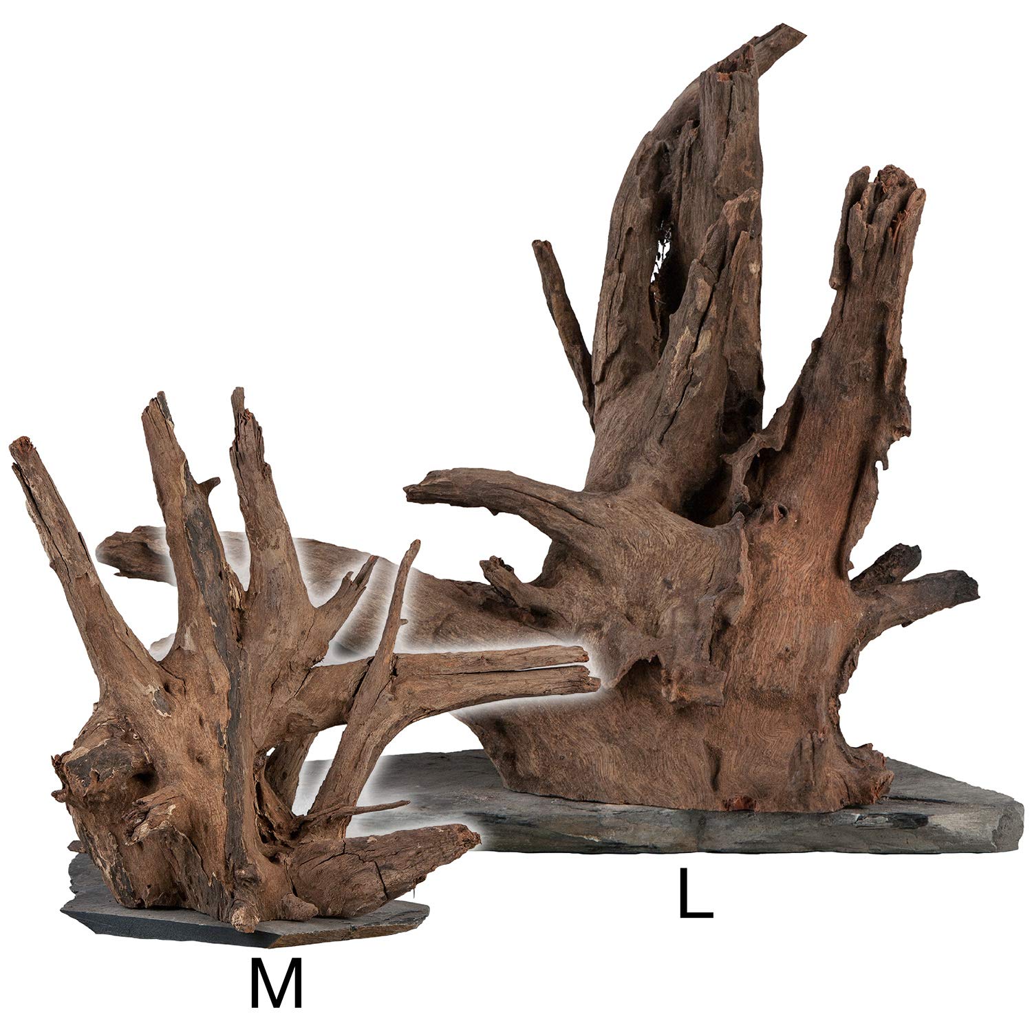 sera Scaper Wood L 30-35 cm - kompaktowe drewno korzeniowe na płycie łupkowej w dwóch rozmiarach