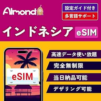 Amazon.co.jp: インドネシア バリ島 ESIMプラン 4日間完全無制限