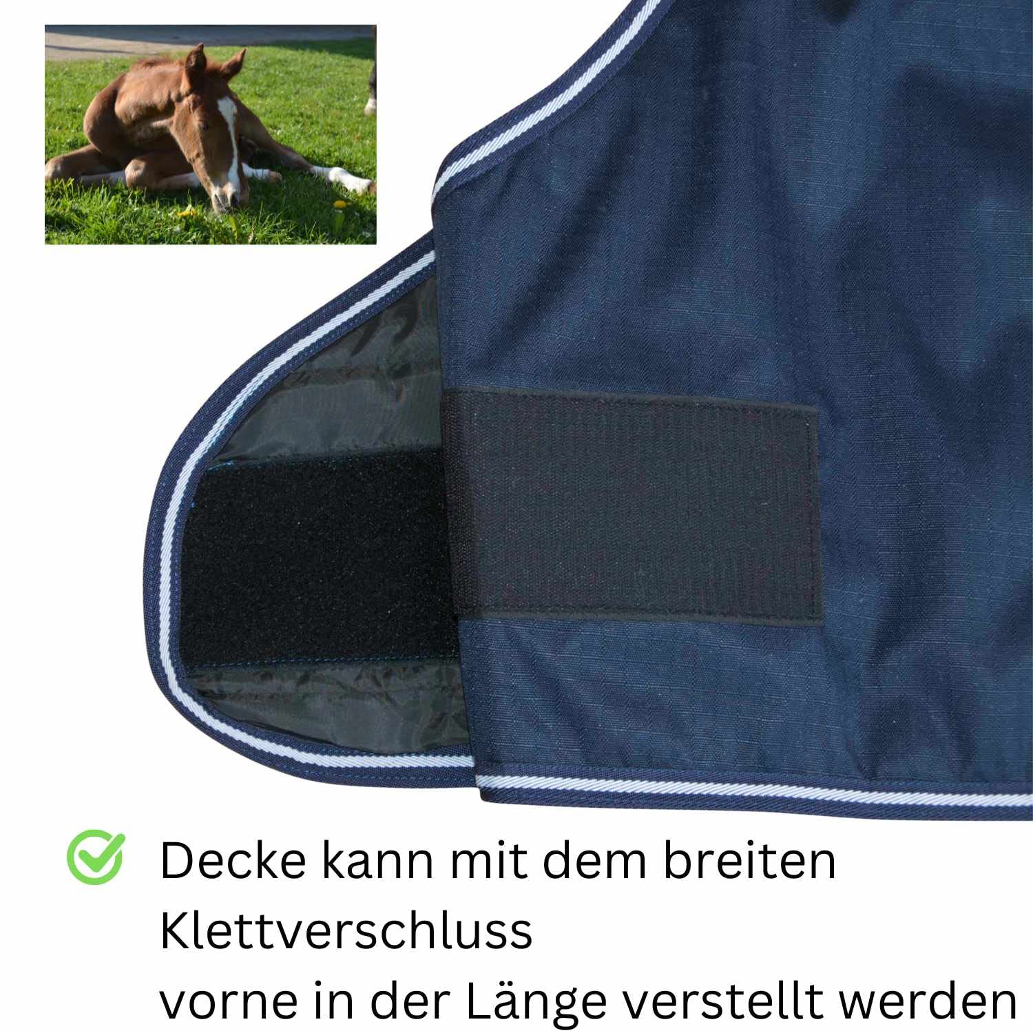 AMKA Fohlendecke Outdoordecke LULEA verstellbar 600 Denier 100 g