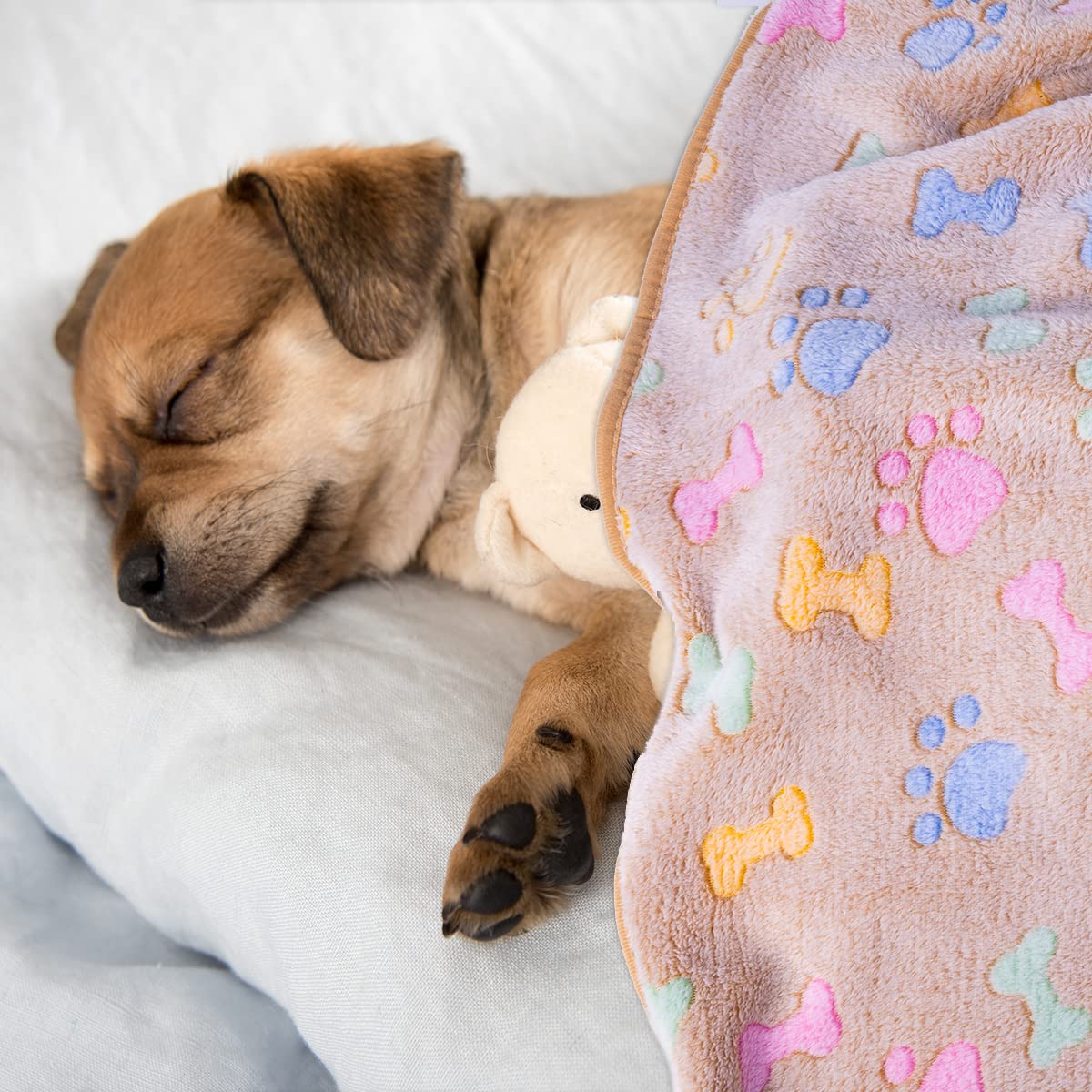 Dono 1 lot de 3 couvertures pour chiens de grande taille, 152,4 x 127 cm, couverture polaire super douce et moelleuse avec imprimé os de pattes, couverture pour grands chiens, couverture douce pour