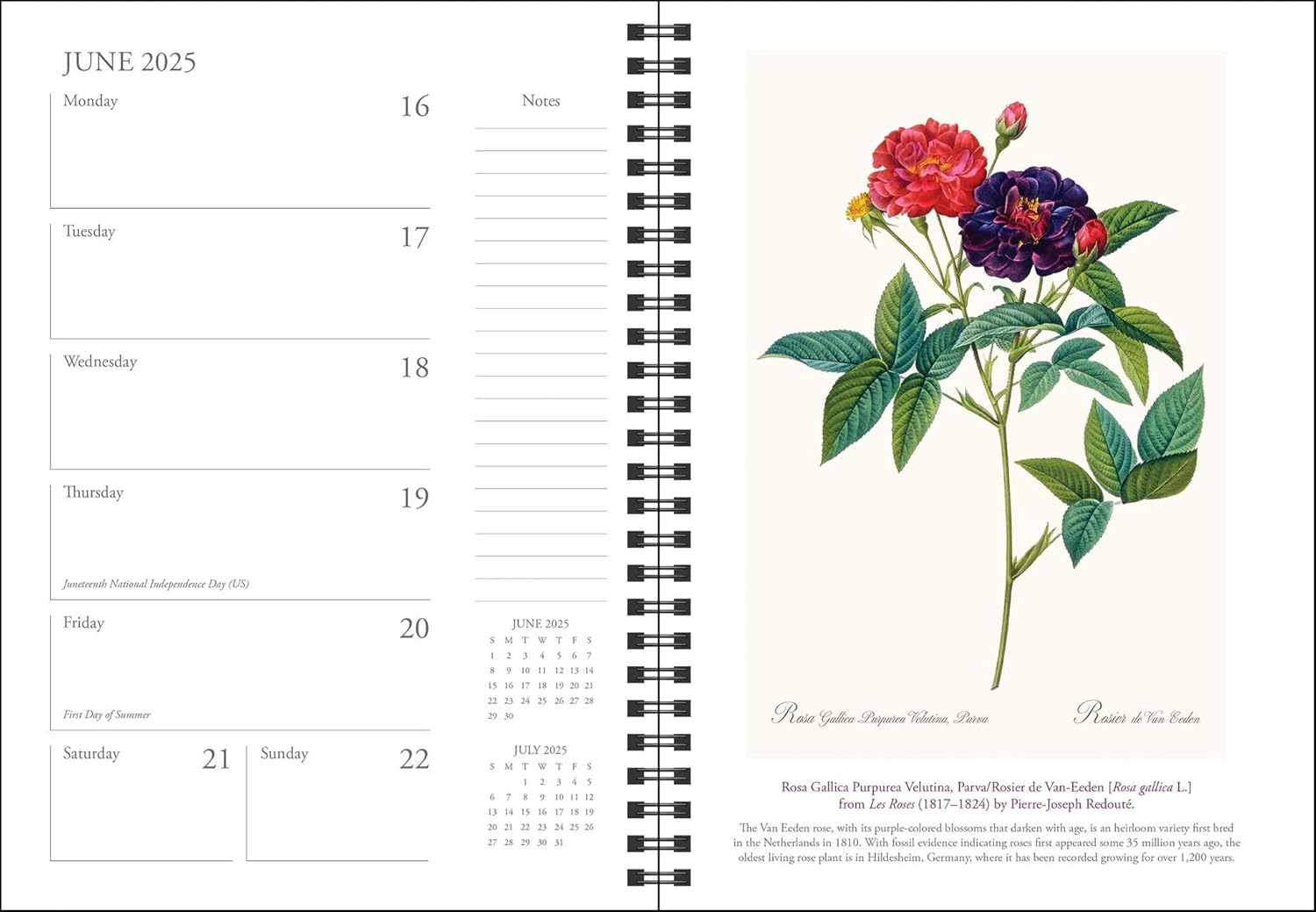 New York Botanical Garden 12-Month 2025 Planner      Calendar – Engagement Calendar, July 9, 2024