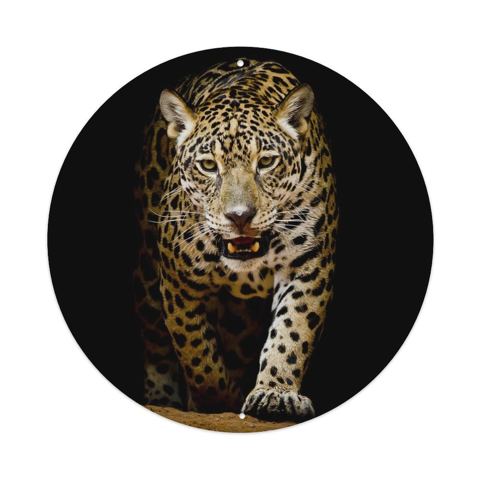 Animal Fierce Leopard Vintage Metal Tin Sign Plaque Wall Decor for Cafe, Club, Garden Round Metal Poster 8x8Inch