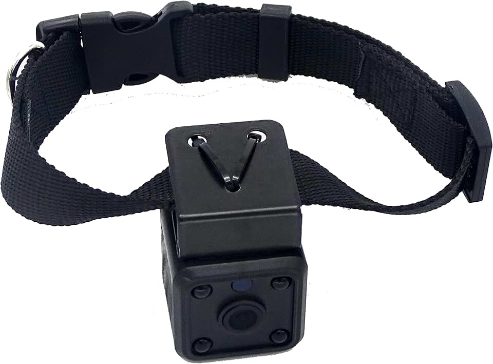 dog collar camera