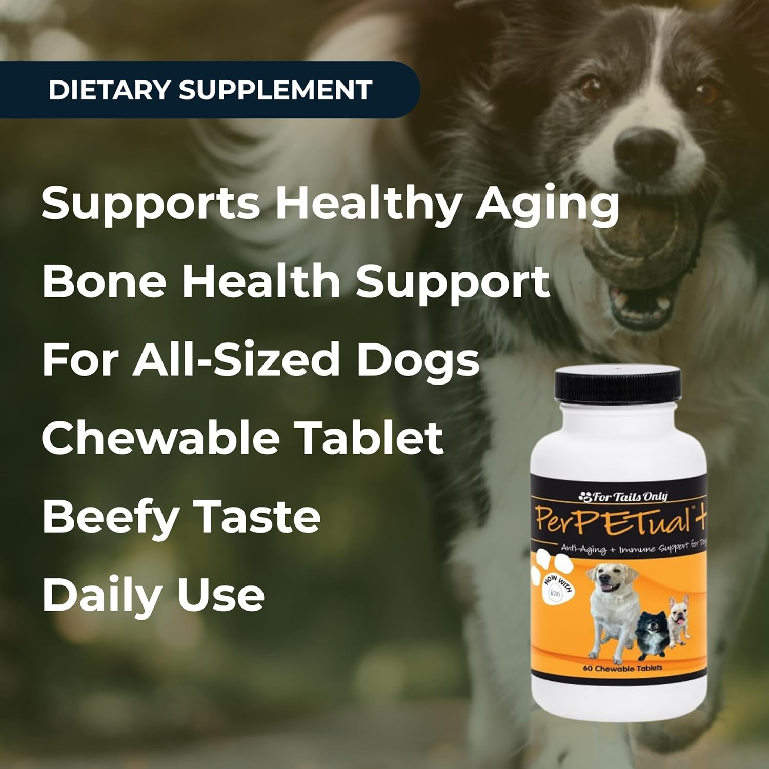 Youngevity Perpetual Plus Made-for-Pets Supplement, 60 Count (Pack of 1)
