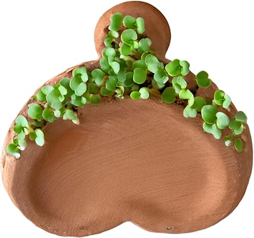 Pube Pet Pene brotante  Regalo de elefante blanco  Novedad  Soltero  Despedida de soltera  Hecho a mano  Jardineras de cerámica  Diversión y fácil