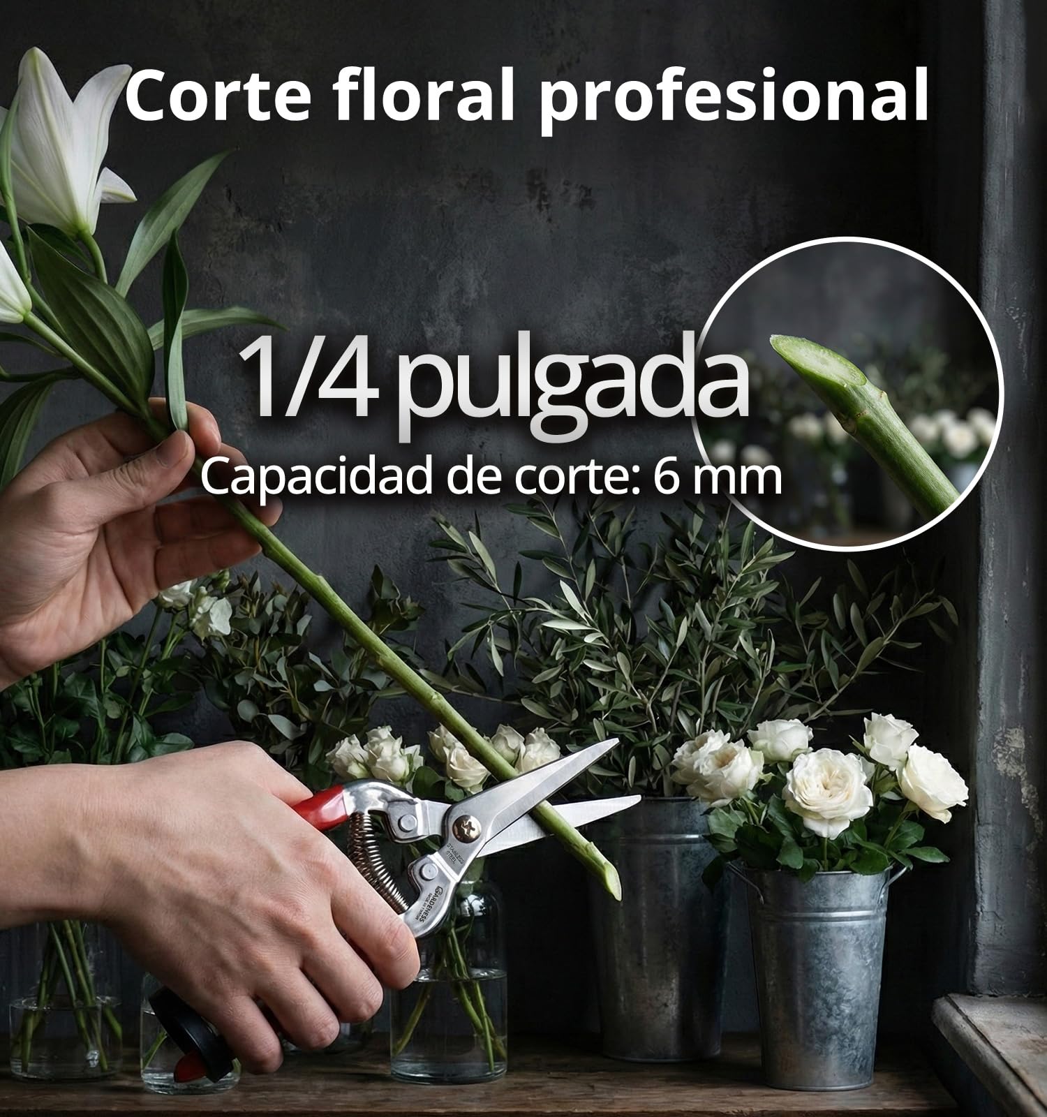 Gardeness Juego de 12 Tijeras de Jardinería – Tijeras de Podar con Hoja Dentada de Acero Inoxidable, Tornillo Ajustable y Punta Fina para Flores y Verduras