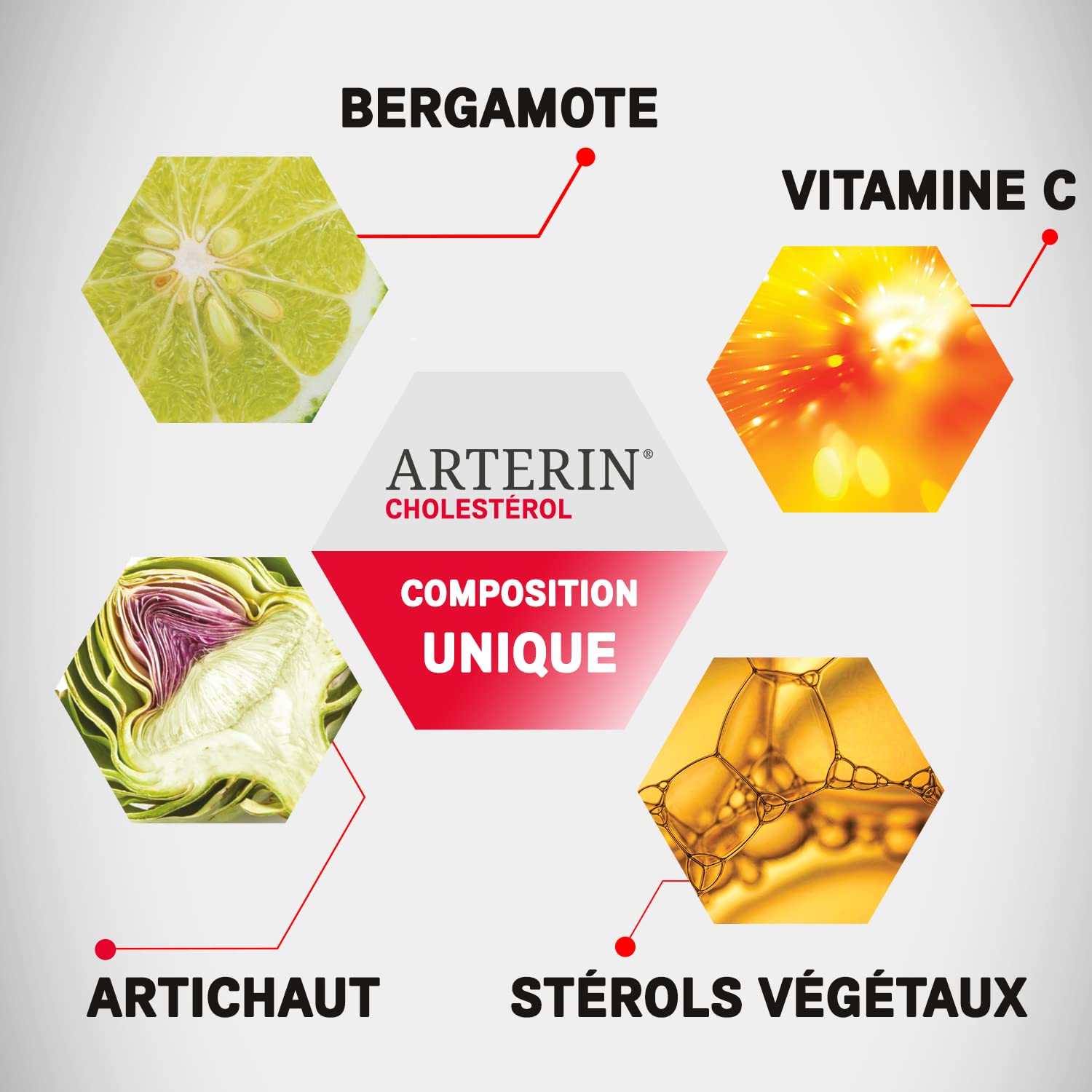 ARTERIN Cholestérol - Complément Alimentaire à base de Plantes, de Stérols Végétaux ajoutés et de Vitamine C - 90 Comprimés