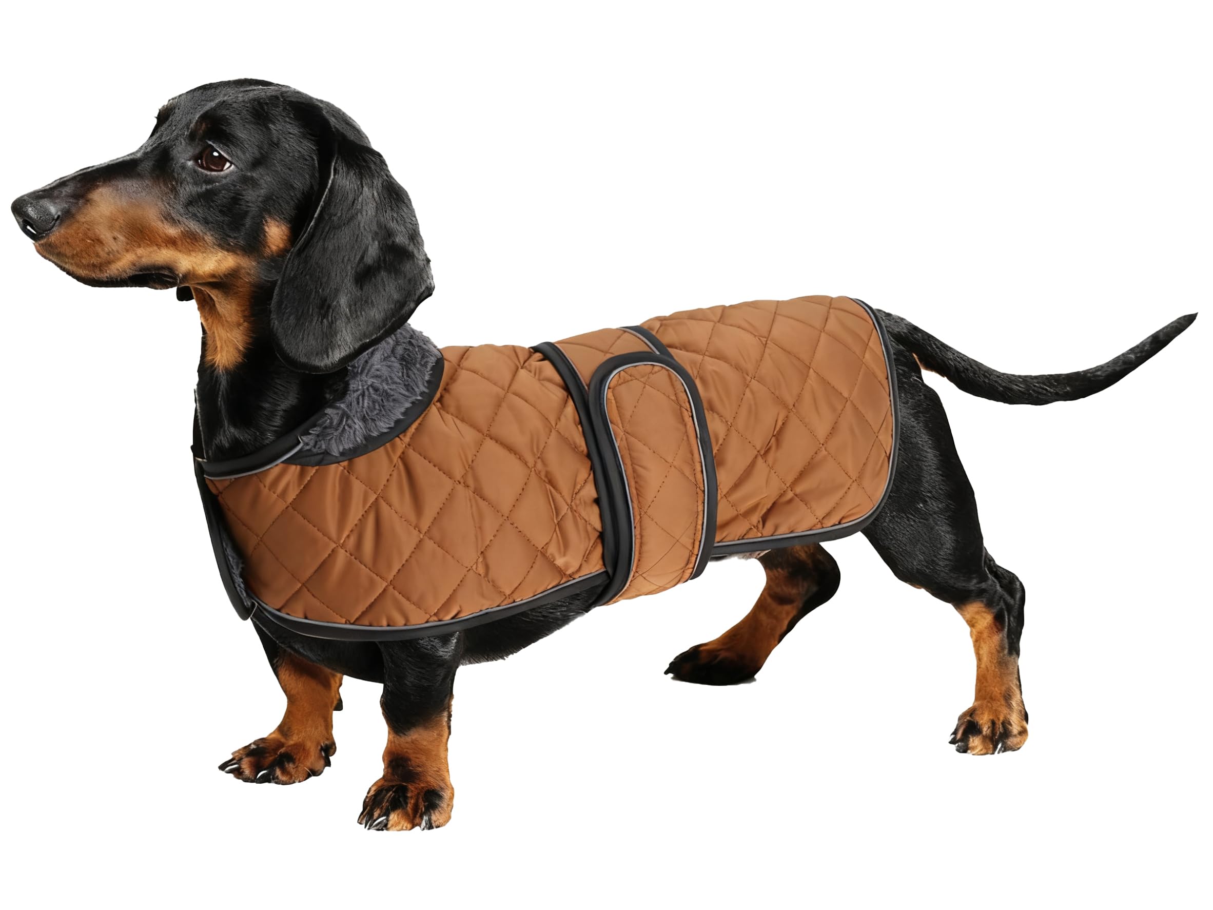 Geyecete Warm Thermal Quilted Dachshund Coat, Dog Winter Coat with Warm Fleece Lining