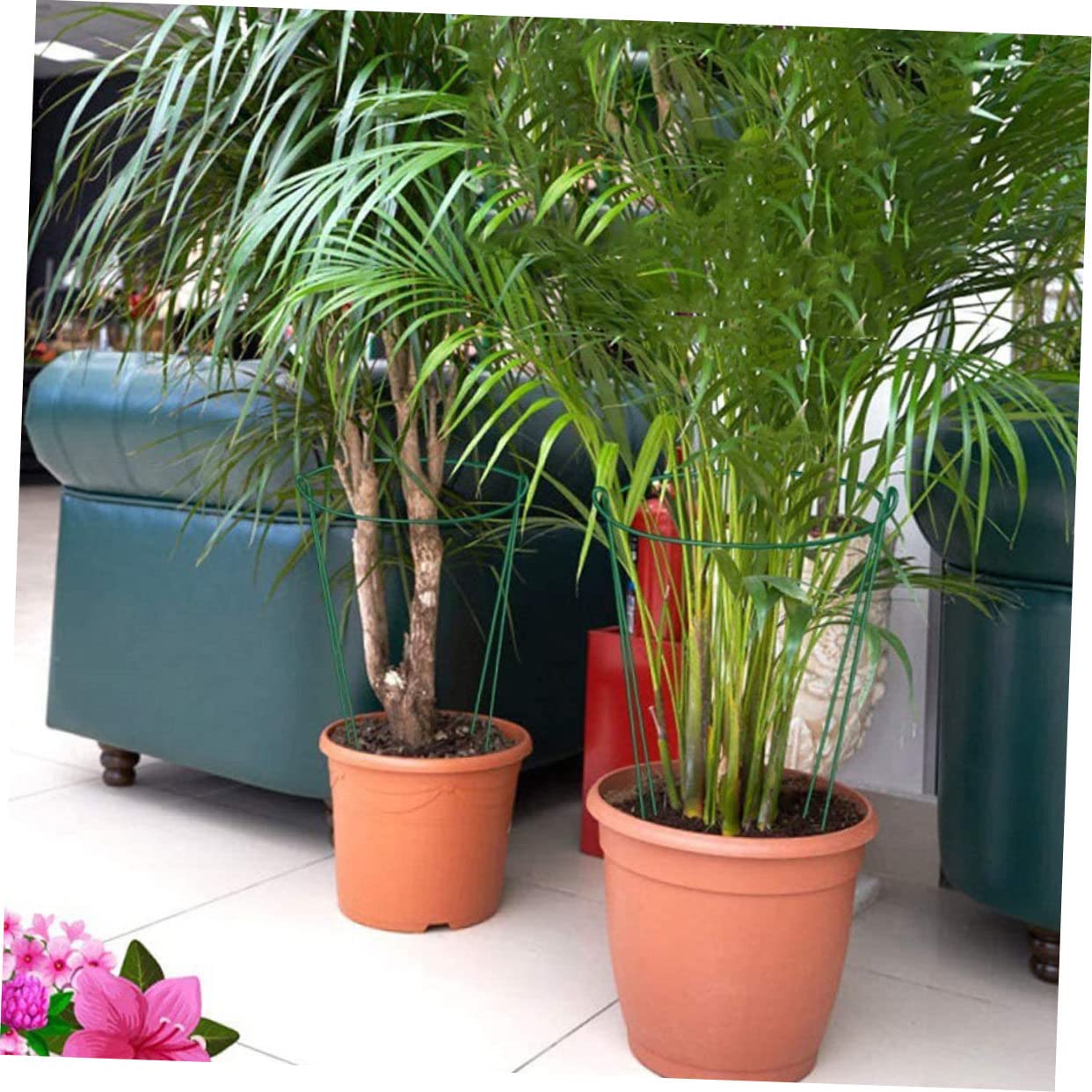 SUPVOX Tuteurs pour Plantes Demi-Ronds en Fer Verts, Lot de 6