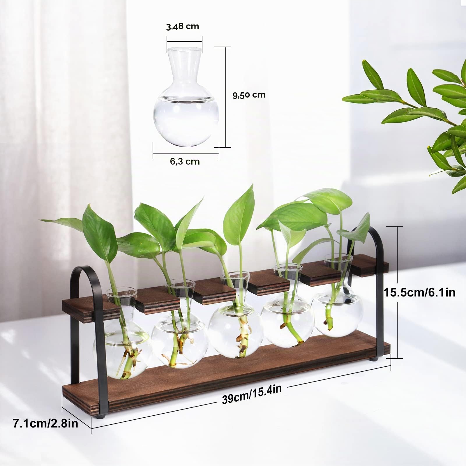 THYGIFTREE Stations de propagation de plantes avec support en bois, bulbe de terrarium de bureau pour la propagation de plantes hydroponiques, fleurs
