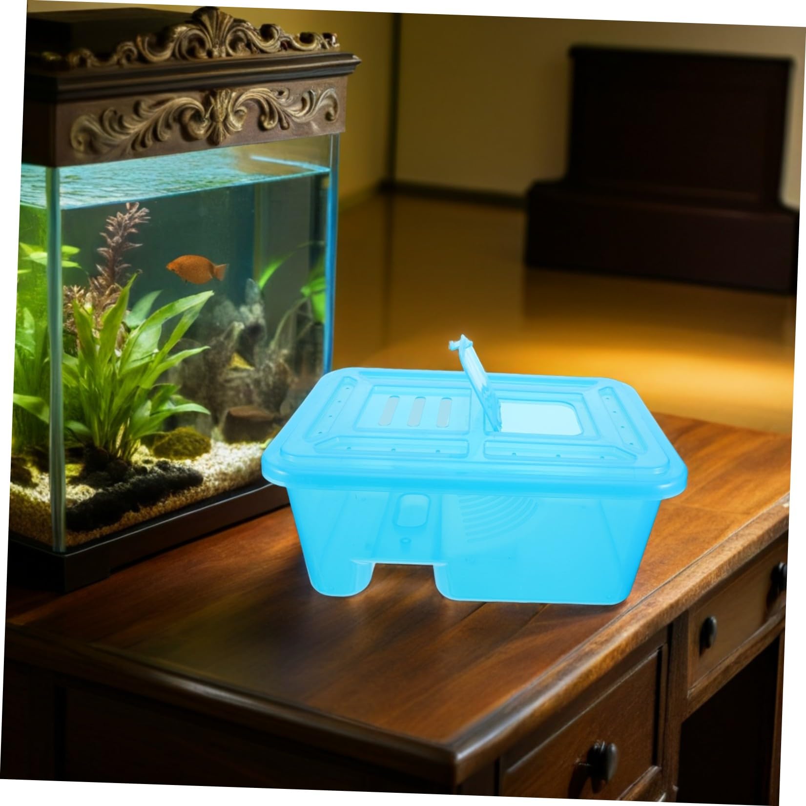 GALPADA Habitat per Tartarughe con Coperchio Piccolo Acquario per Tartarughe in Plastica con Piattaforma Rimovibile per Rettili Base Anti-ribaltamento e Zona Umida e Asciutta